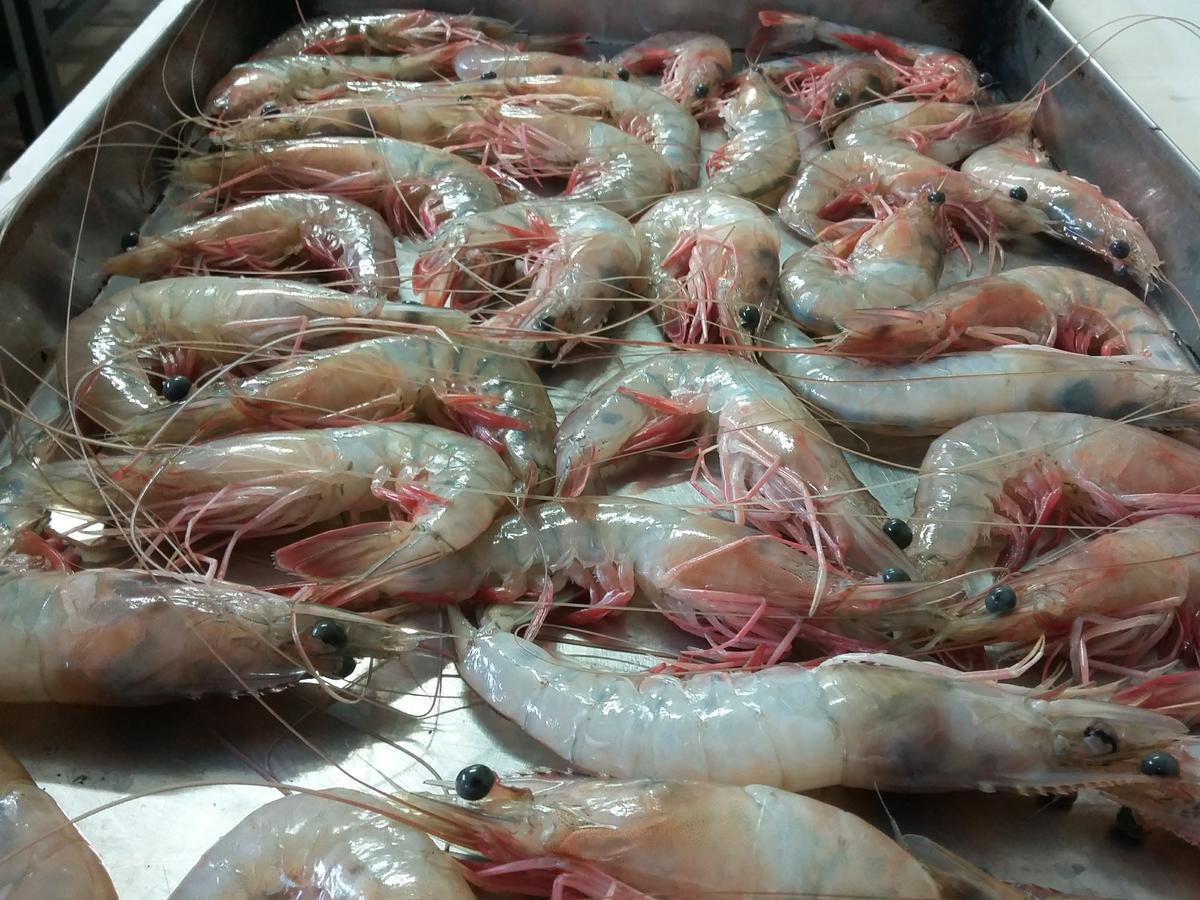 בארה וליה Pousada Chef Brasil מראה חיצוני תמונה